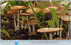 0_e6d40_970ffcf5_orig.png