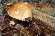 0_d2ab8_40b5181_orig.jpg
