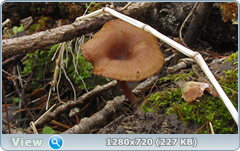 0_f6db0_76fd3b46_orig.png
