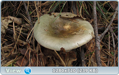 0_fbb38_1fd906d5_orig.png