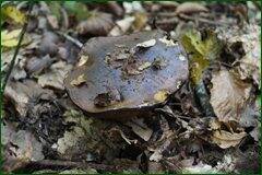 0_c2884_51e774f3_orig.jpg