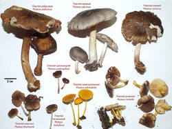 0_c2245_9744ecb9_M.jpg