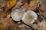 0_ef782_b3567b99_orig.jpg