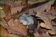 0_ef784_2d62ed54_orig.jpg