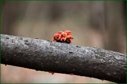 0_153e9a_11c727f_orig.jpg