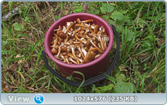 0_12dc40_4aed053d_orig.png