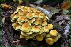 0_1018d2_6ef2e87f_orig.jpg
