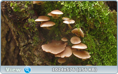 0_12dccd_4dbbb810_orig.png