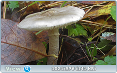 0_12df85_15957e24_orig.png