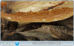 0_10209e_ba66aa3d_orig.png