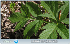 0_10616e_59b249cb_orig.png