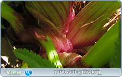 0_106172_51086a5d_orig.png