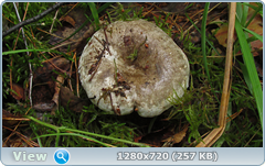 0_10b51c_a67a008e_orig.png