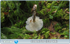 0_11306d_fe14e750_orig.png