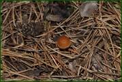 0_ec23d_4eb7985f_orig.jpg