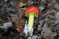 0_13184a_3007b692_orig.jpg