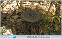 0_11331c_b262c268_orig.png