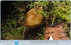 0_127672_d6766a09_orig.png