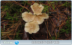 0_12afbc_59986184_orig.png