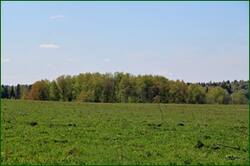 0_141c05_44f4d802_orig.jpg