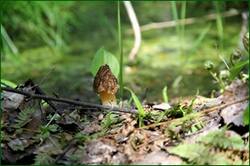 0_141c23_f9dd78c5_orig.jpg