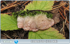 0_114caa_56db5568_orig.png