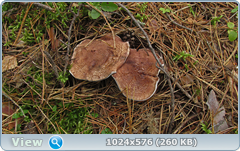 0_11cc23_111fe348_orig.png