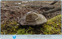 0_102973_4a49f600_orig.png