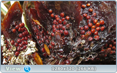 0_10383d_8a8c555d_orig.png