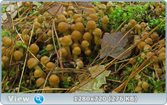0_10973b_921db27b_orig.png