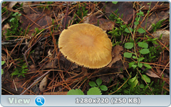 0_10b558_7d3cc79e_orig.png