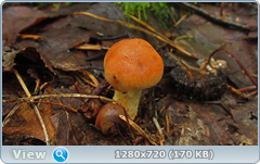 0_10dd90_7c77c88d_orig.png