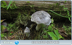 0_112192_e5d84c4_orig.png
