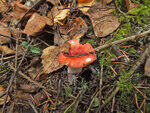 0_cc086_ccf03937_S.jpg