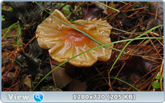 0_ead2e_56f64117_orig.png
