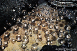 0_103851_4d2a571d_orig.png