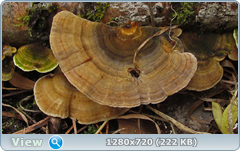 0_f6e3a_6147a5c3_orig.png