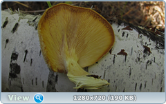 0_fc3f8_5ea8c09_orig.png