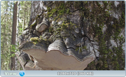 0_fc5da_3c844f5c_orig.png