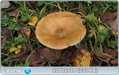 0_f27f8_210f6f9c_orig.png