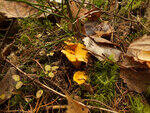 0_cc08f_44f055aa_S.jpg