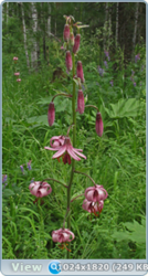 0_e784b_ff9753b_orig.png
