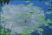 0_eaeae_b2191da_orig.jpg