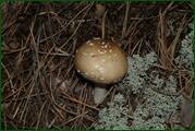 0_eaebc_e39cbd01_orig.jpg