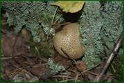 0_eaed8_88594e9f_orig.jpg