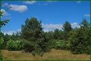 0_eaf02_dfe74249_orig.jpg