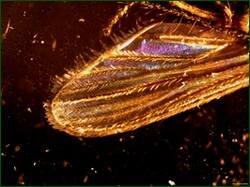 0_ee254_e5fc6311_orig.jpg