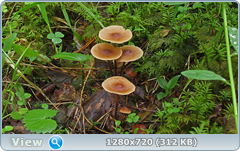 0_10aa60_4fcf8a70_orig.png