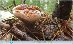 0_110646_27c6382b_orig.png