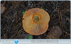 0_112abd_c82d6494_orig.png